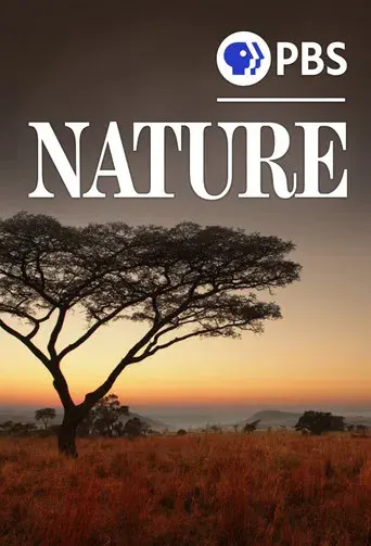 Nature - Poster