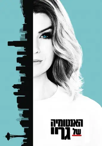 Anatomía de Grey - Poster