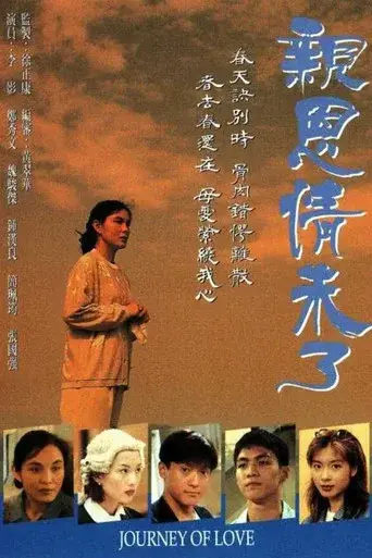 親恩情未了 poster