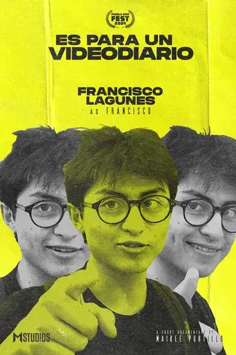 Es Para Un Videodiario - Poster