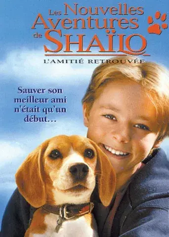 Shiloh II, el regreso - Poster