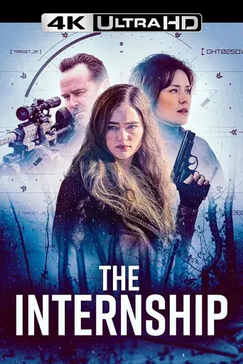 The Internship - Poster