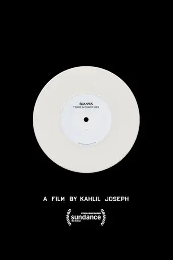 BLKNWS: Terms & Conditions - Poster