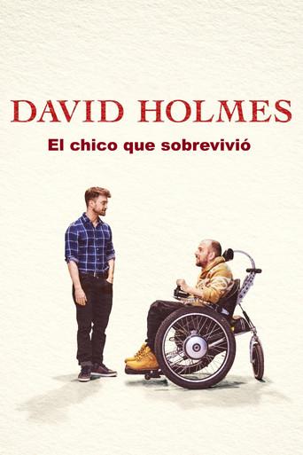 David Holmes: El chico que sobrevivió - Poster