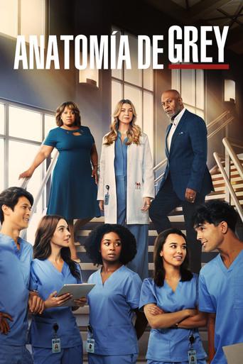 Anatomía de Grey - Poster
