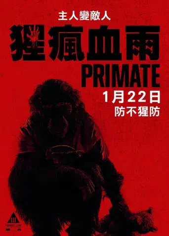 Primate - Poster