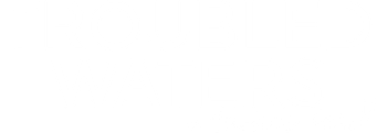 Troubled Waters: A Turtle's Tale - Logo