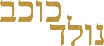 Ha nacido una estrella - Logo