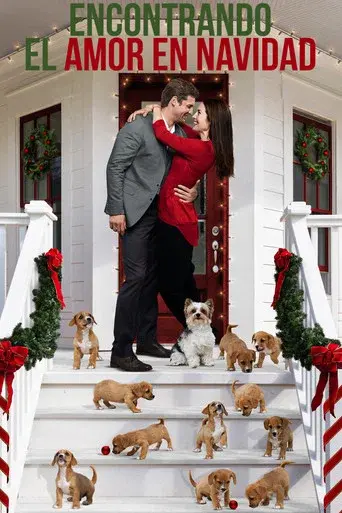 Encontrando el amor en Navidad - Poster