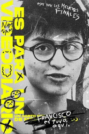 Es Para Un Videodiario - Poster