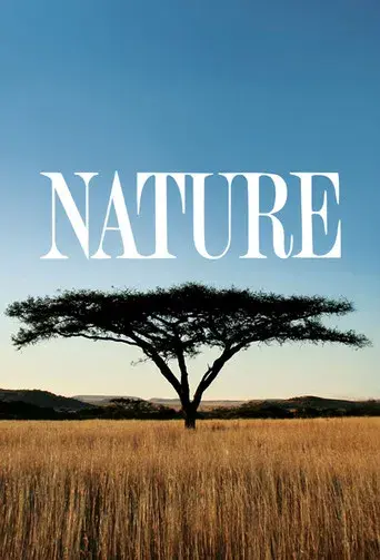 Nature - Poster