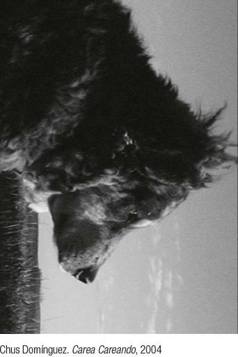 Carea careando. De pastores, perros y rebaños - Poster