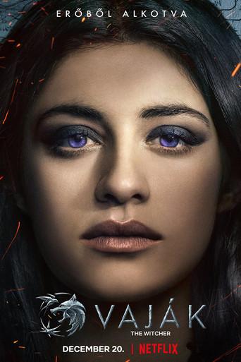 The Witcher - Poster