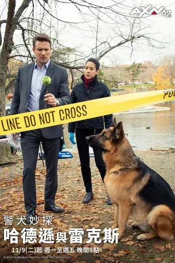 Hudson & Rex - Poster