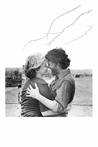 Alicia ya no vive aquí - Poster