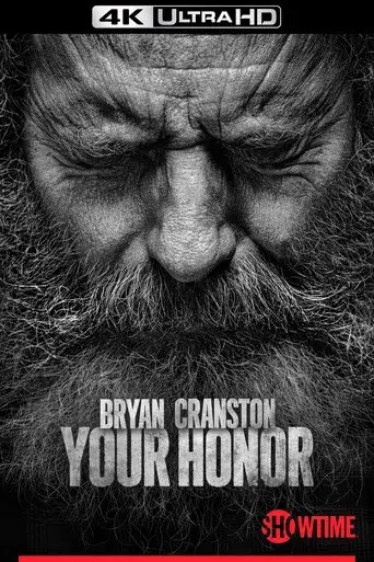 Your Honor - Poster