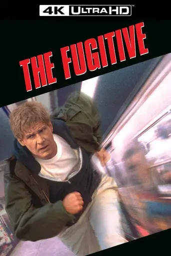 El fugitivo - Poster