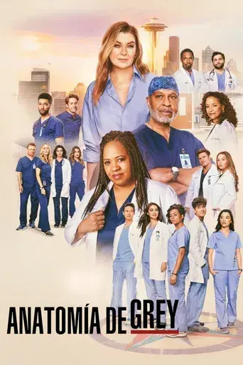 Anatomía de Grey - Poster