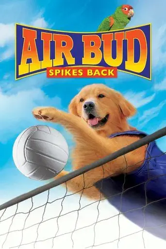 Air Bud 5: Golpea de Nuevo poster