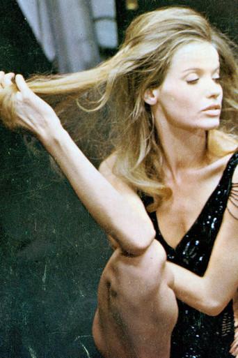 Pictures of Europe - Poster