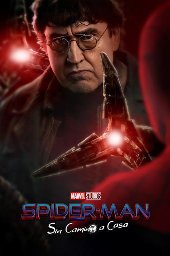 Spider-Man: No Way Home - Poster