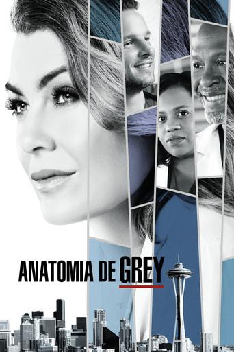Anatomía de Grey - Poster