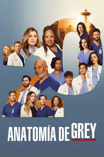 Anatomía de Grey - Poster