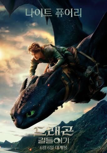 Cómo entrenar a tu dragón - Poster