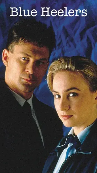 Blue Heelers - Poster