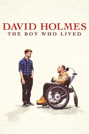 David Holmes: El chico que sobrevivió - Poster