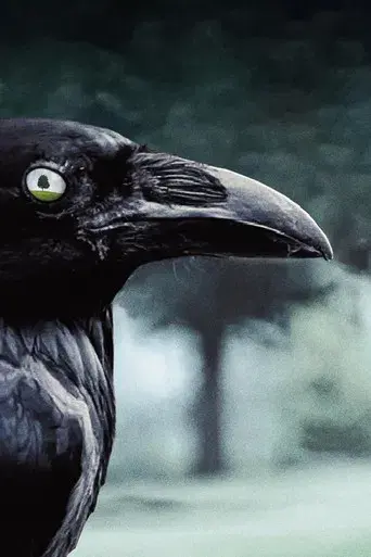 A dos metros bajo tierra - Poster