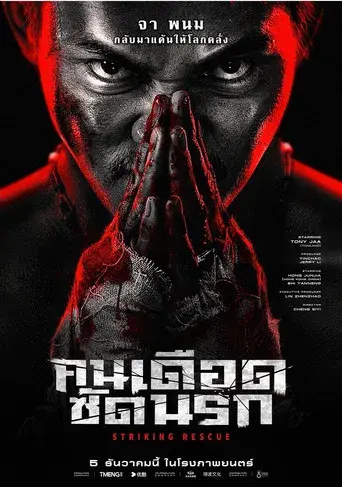 Venganza implacable - Poster