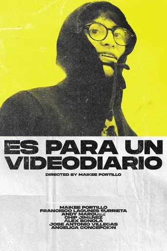 Es Para Un Videodiario - Poster