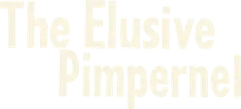 El libertador - Logo