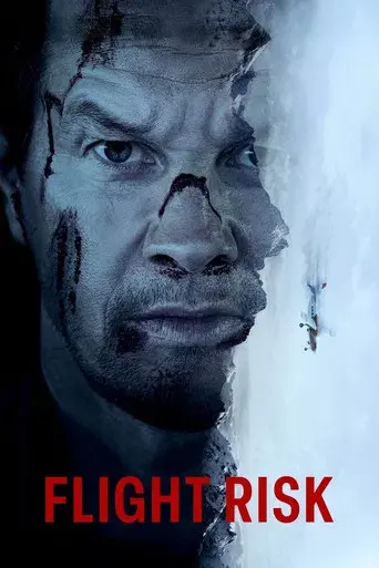 Amenaza en el aire - Poster