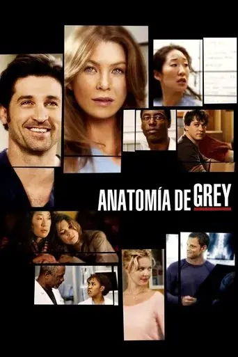 Anatomía de Grey - Poster