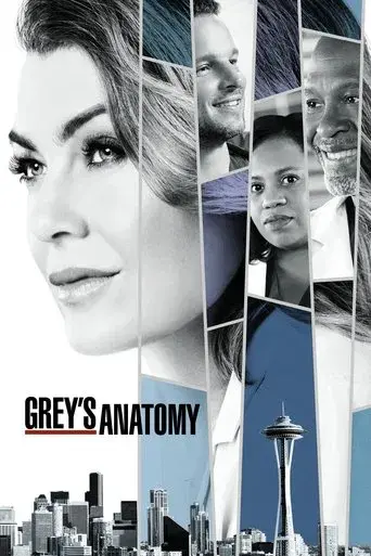 Anatomía de Grey - Poster