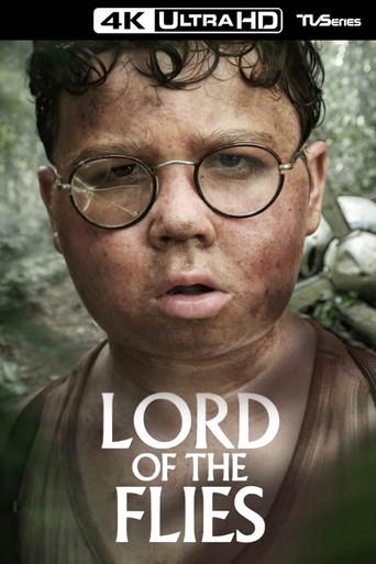 El señor de las moscas - Poster