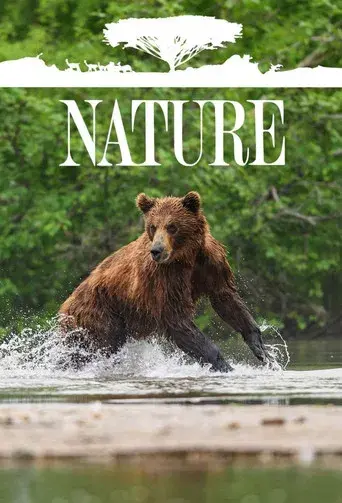 Nature - Poster