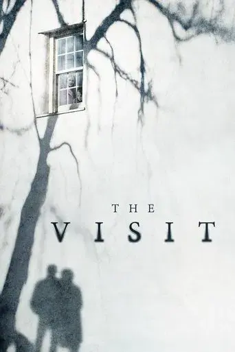 La visita poster