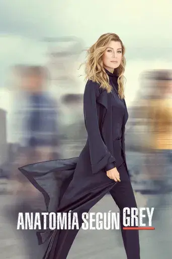 Anatomía de Grey - Poster