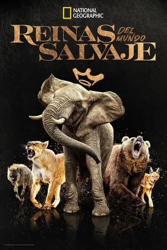 Reinas del mundo salvaje - Poster
