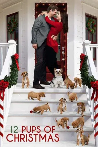 Encontrando el amor en Navidad - Poster