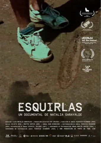 Esquirlas - Poster
