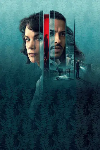 La mujer en la pared poster