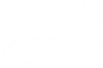 Fury of the Congo - Logo