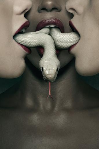 American Horror Story - Poster