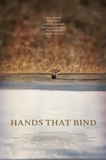 Hands That Bind poster