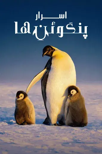 Los secretos de los pingüinos - Poster