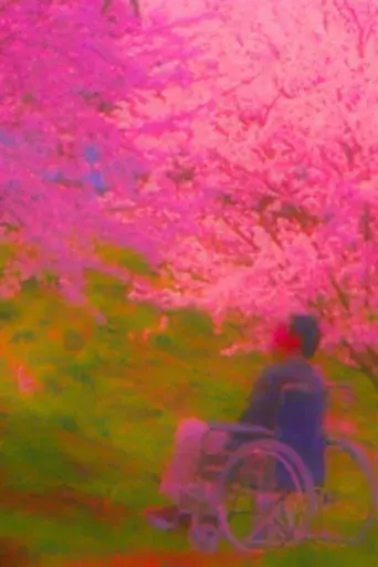 Hana-Bi: Flores de fuego - Poster